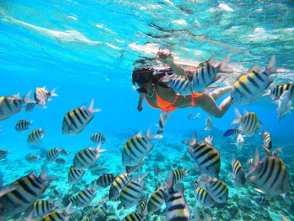 SAN ANDRES ISLAS 2X1 DESDE MEDELLIN